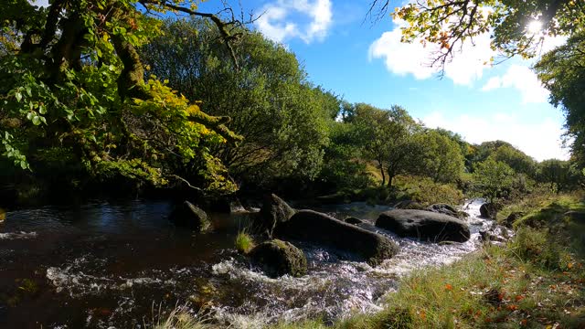 Failed timelapse of a river. 2022
