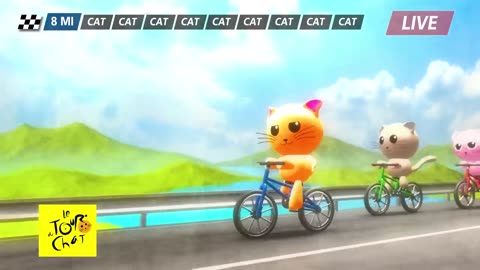 pretty cat dance