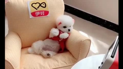 You are my lovely much