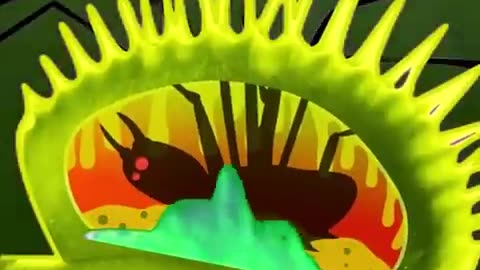 Beautiful animal video