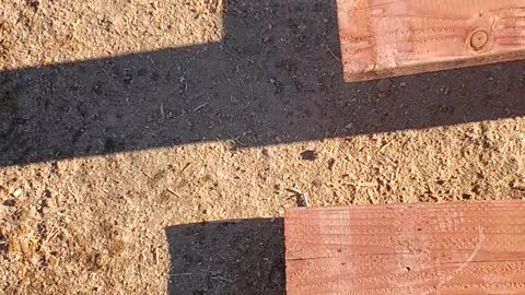 I'm losing my finger Mail