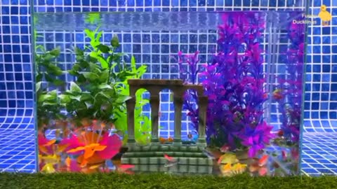 Ikan warna-warni