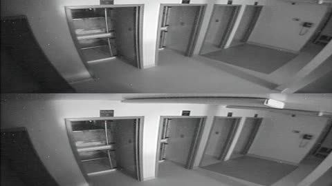 1704CRIB01CribAnalysisArea_2021-01-05_06h00min02s073ms.mp4