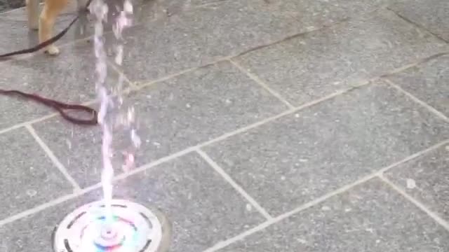 "It's too hot today. Come and take a free bath."