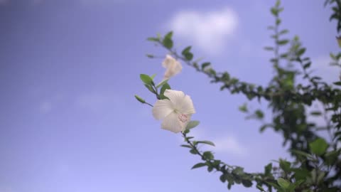Farewell to a memory, just like farewell to the whole world is not easy!