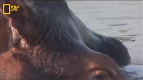 How much does it was just a good time to get rid of a picture