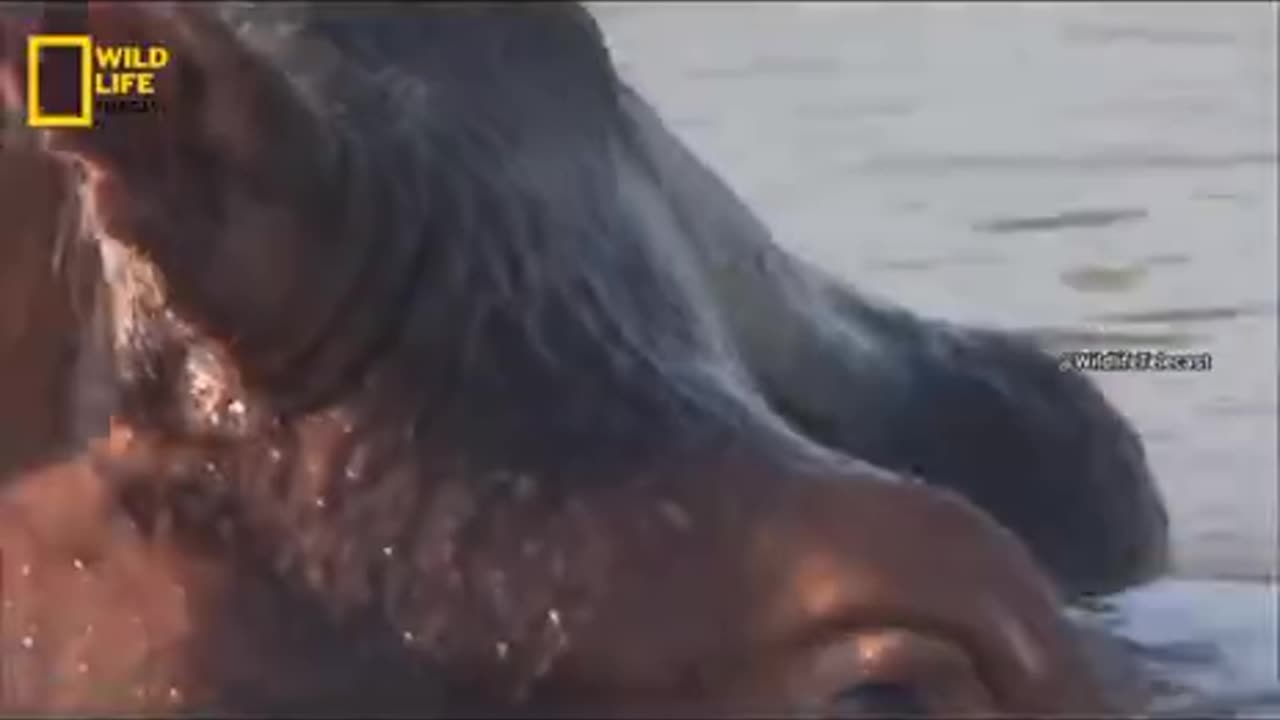 How much does it was just a good time to get rid of a picture