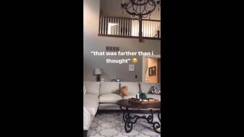 Best Funny Animal Videos 2024