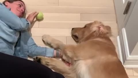 Dog training videos puppy 😁😁
