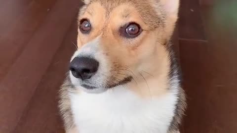 With a face like this