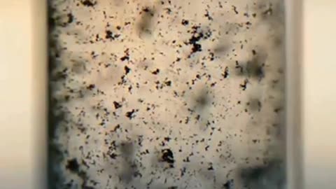 Graphene metarial #science #sciencefacts #shorts #ytshorts