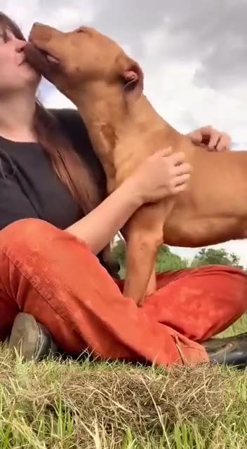 Everyone loves affection 😊😍