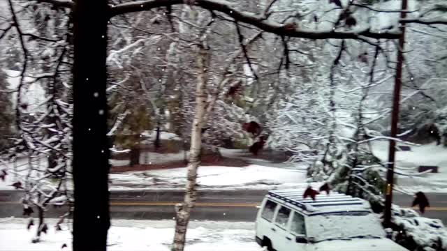 Snow Day