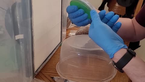 Building the DIY GordoTEK's Laminar Flow Hood (Under $100)