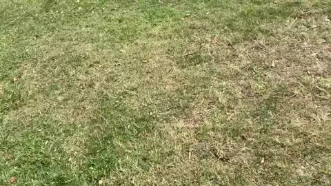 PLAYING RUSSIAN ROULETTE WITH A NEEDLE NOT A GUN = 🪦💀