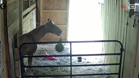Ball time