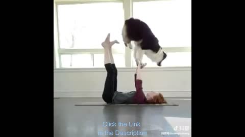 Animal Lover