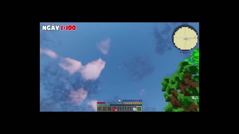 Let's survive together in minecraft