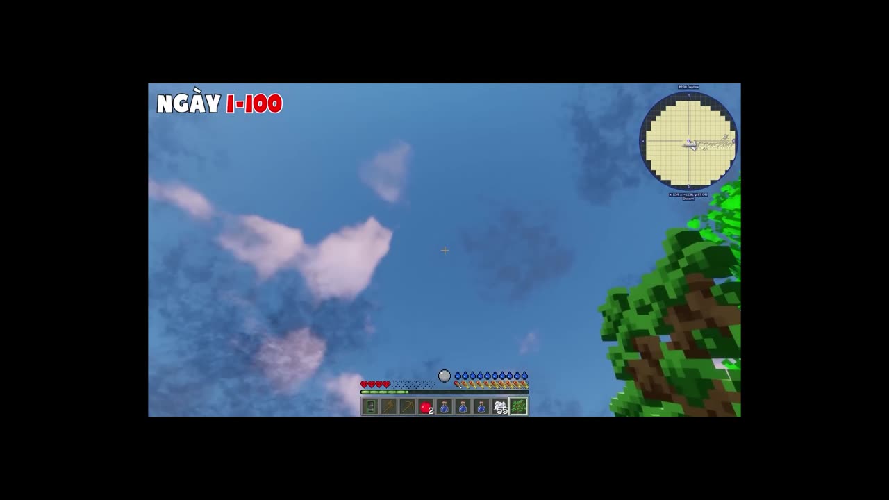 Let's survive together in minecraft