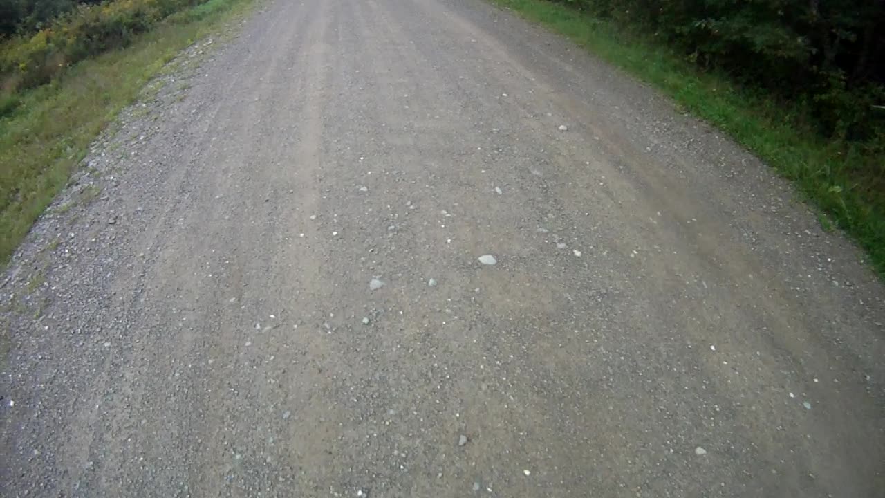 August 23rd, 56º Flynn recovering from yesterday's bout with diarrhea