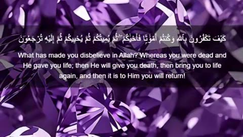 Beautiful recitation of the Holy Quran||تلاوة جميلة للقرآن الكريم