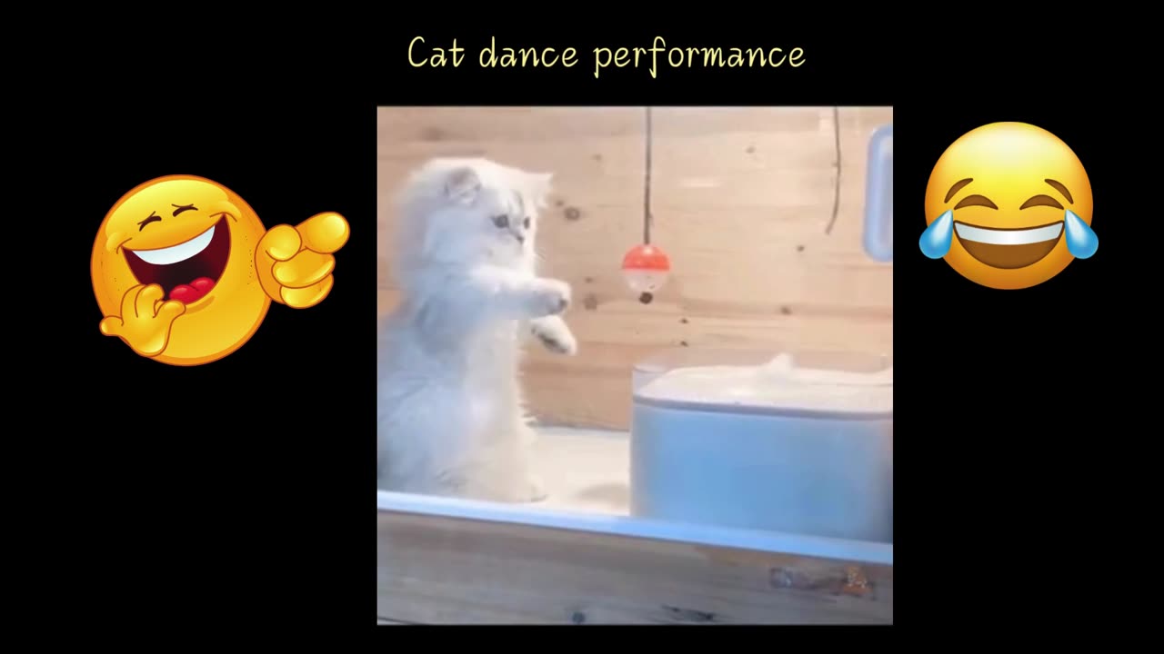 🎵 🎵 🎵 🎵 💖💖💖CUTTTE SILLY CAT ENJOYING THE MUSIC!!!!! 🎵 🎵 🎵 🎵 💖💖💖