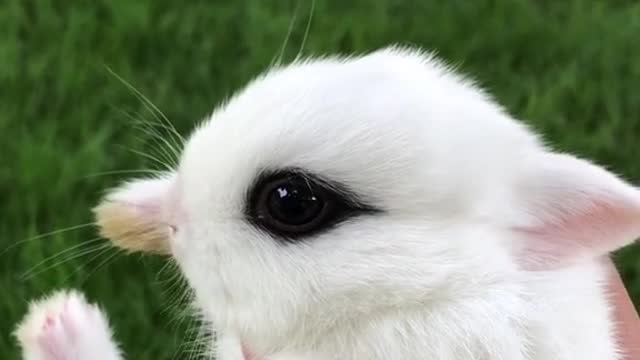 Bring your own eyeliner. Can you believe it?