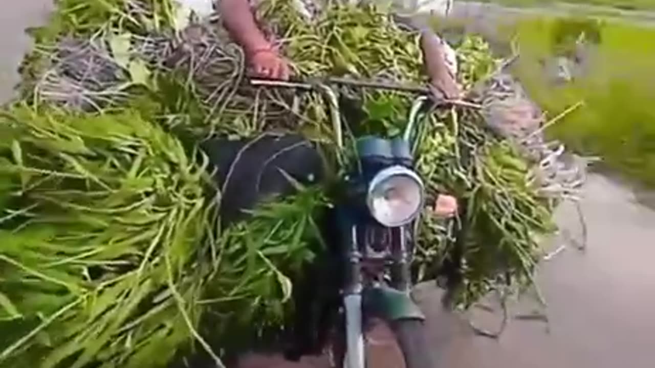 Talented people | heavy driver