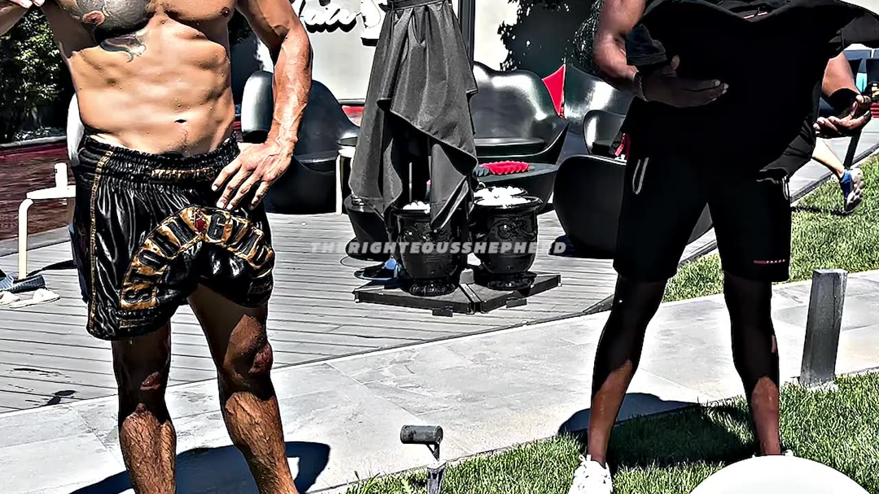 TATES CARS Starting From Scratch