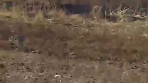 Mykola is loosing far too many tanks and dead Ukrainian soldiers in Cherson - strictly 18+