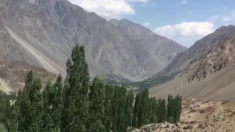 NFAK short qawali lines