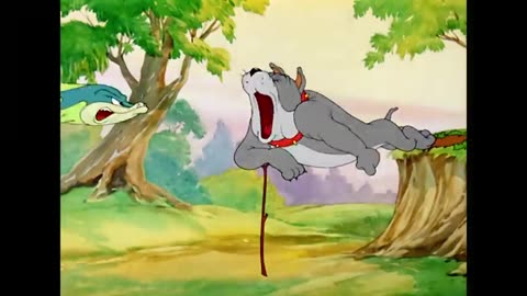 Dog and tom jerry fighting
