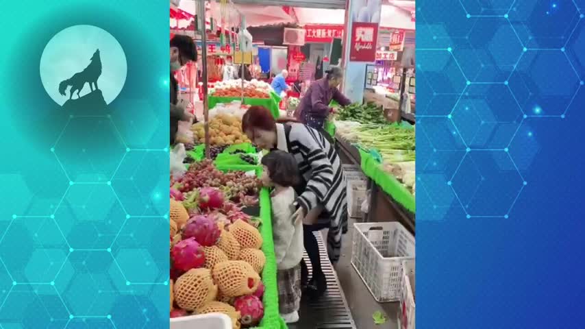 Funny videos