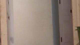 4 year old singing "mercy" while sitting on the toilet goes completely wrong....