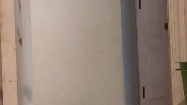 4 year old singing "mercy" while sitting on the toilet goes completely wrong....
