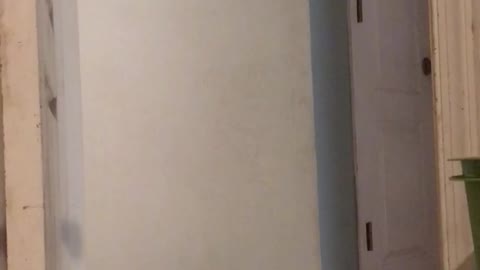 4 year old singing "mercy" while sitting on the toilet goes completely wrong....