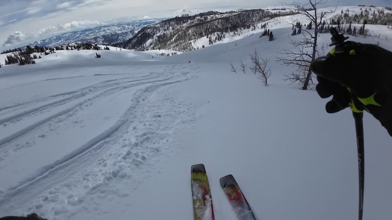 3/7 #13 more Mary's B