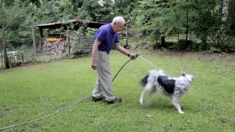 Chaser Unlocking the Genius of the Dog Who Knows a Thousand Words
