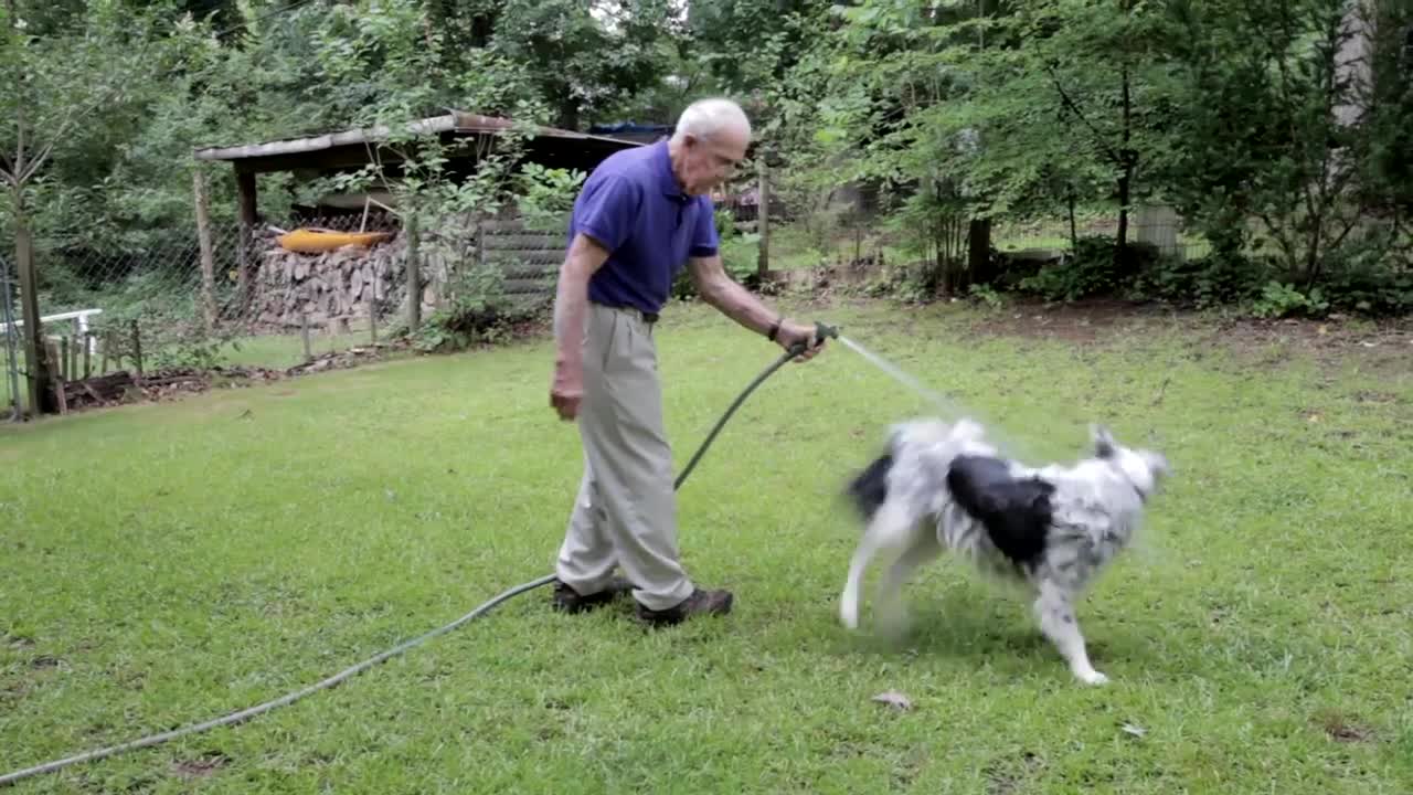 Chaser Unlocking the Genius of the Dog Who Knows a Thousand Words