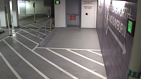 6136RHOBG3G3L8Lobby8Entrance_2021-01-05_21h00min01s300ms.mp4