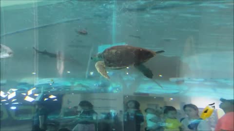 National Maritime Museum (Busan, South Korea)-16
