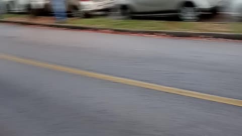 Fixed gear skid