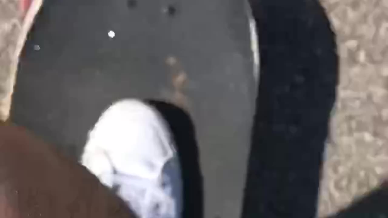 Longboard Cruising | XXIV