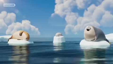 baby seal is the cutest