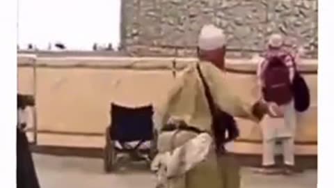 Funny video