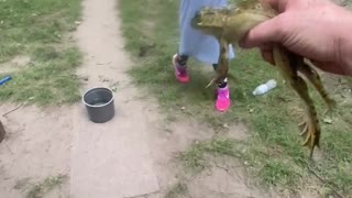 Annabelle’s first real frog