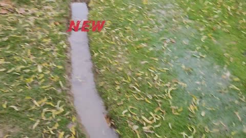 Before & After Drainage at Backyard Golf Course