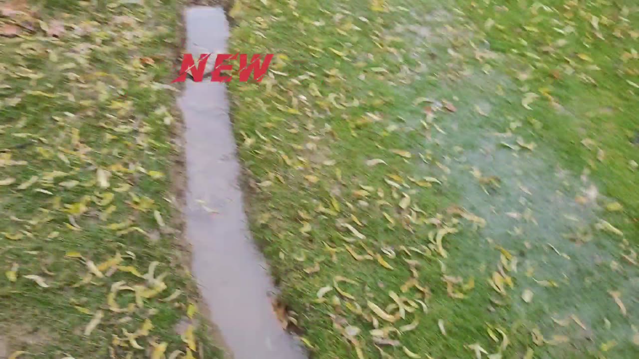 Before & After Drainage at Backyard Golf Course
