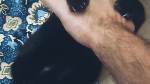 Cat love 😻