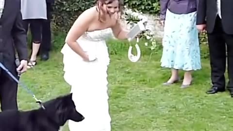 Viral - Try not to laugh😂🤣😅 Funny Animals videos